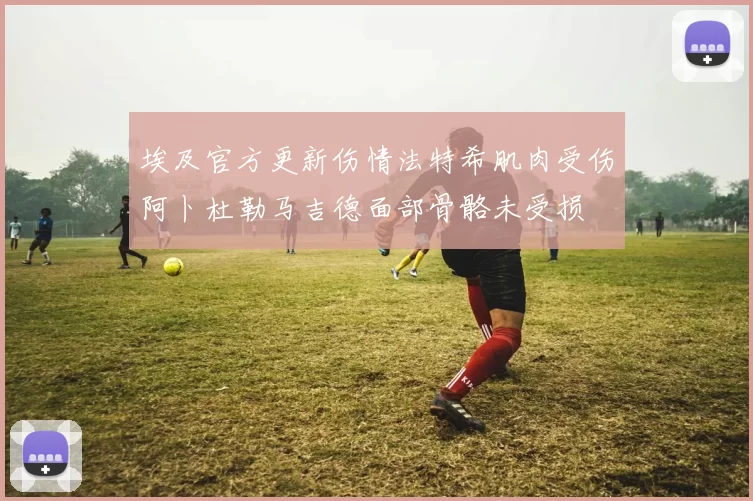 埃及官方更新伤情法特希肌肉受伤阿卜杜勒马吉德面部骨骼未受损